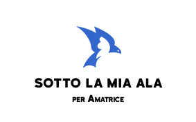 associazione amatrice cinema webdesign marketing pesaro danielegalvani.it